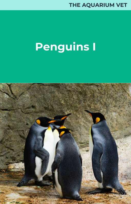 Penguins I