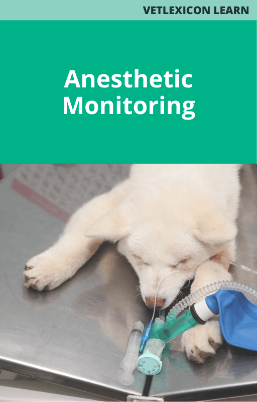 Anesthetic monitoring