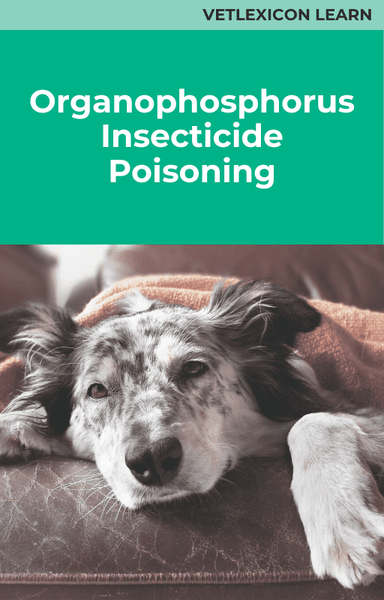 Organophosphorus Insecticide Poisoning