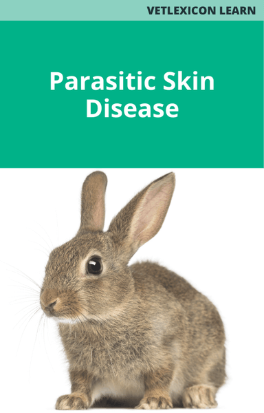 Parasitic Skin Disease