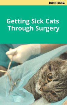 John Berg Getting Sick Cats Through Surgery