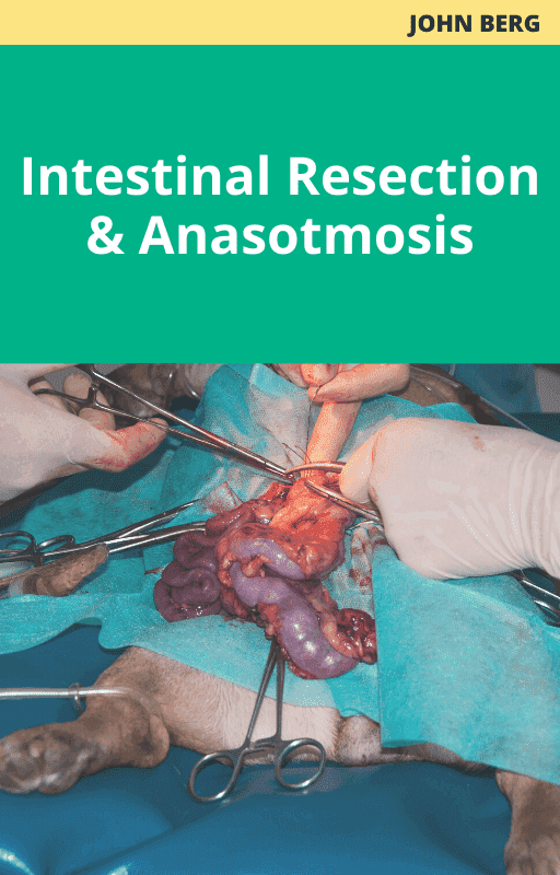 John Berg Intestinal Resection and Anasotmosis