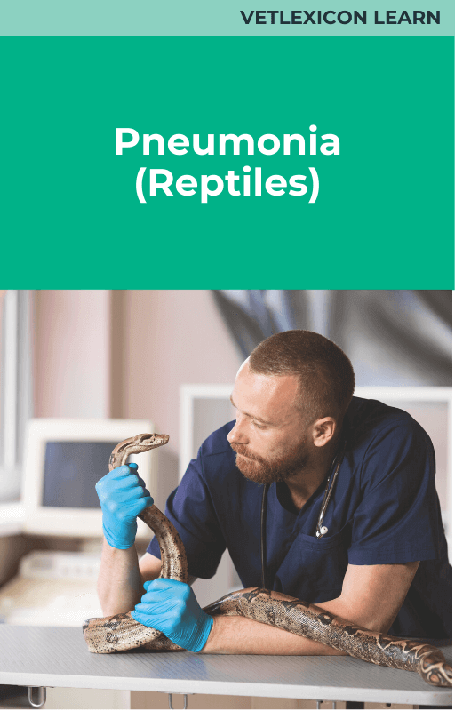 Pneumonia (Reptiles)