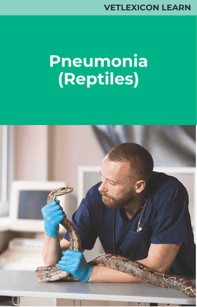 Pneumonia (Reptiles)