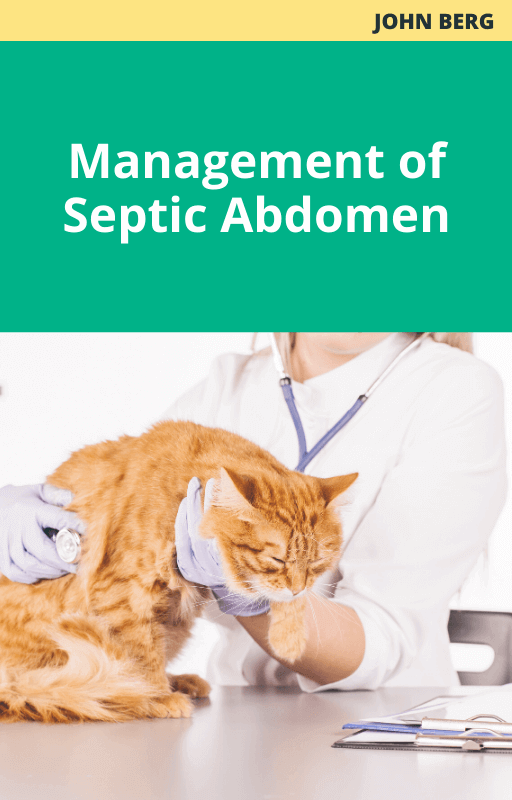 Management of Septic Abdomen