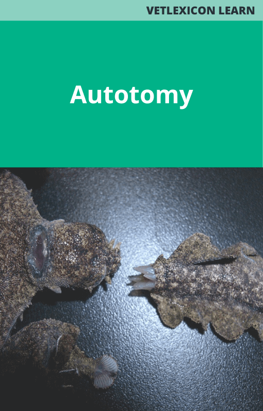 Autotomy