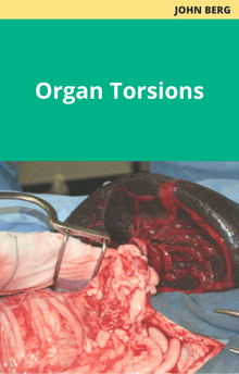 John Berg Organ Torsions