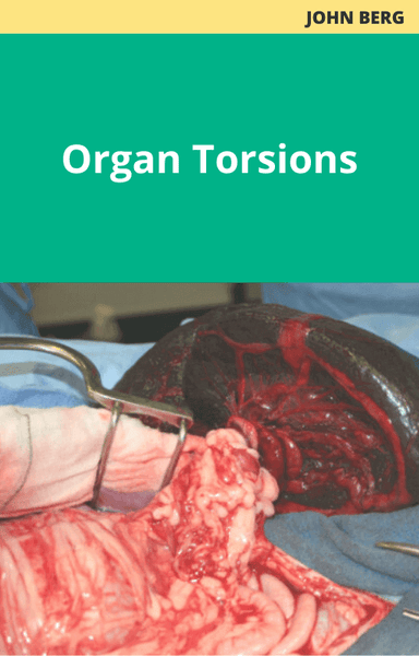 Organ Torsions