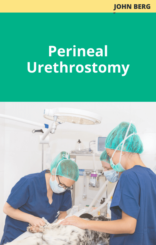 John Berg Perineal Urethrostomy