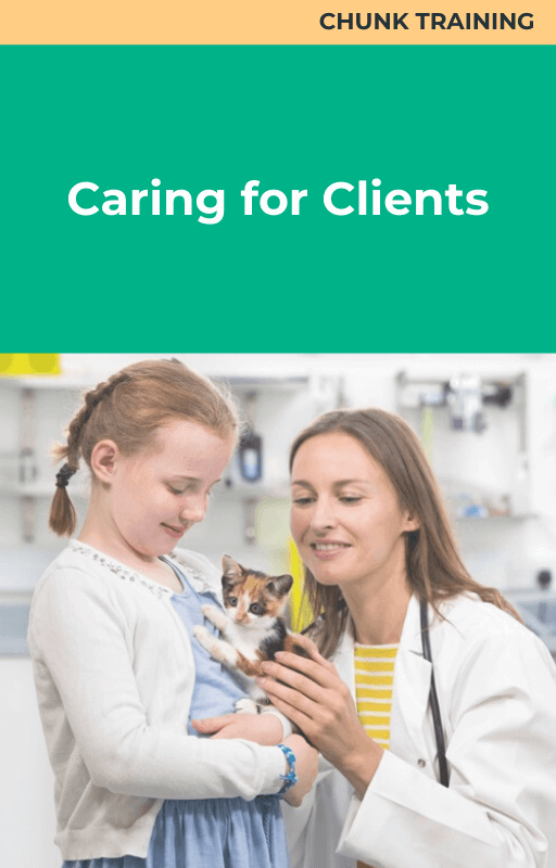 Chunk Training Caring for Clients