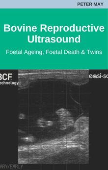 Bovine Reproductive Ultrasound