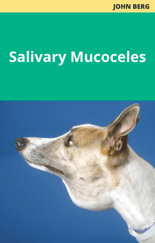 Salivary Mucoceles