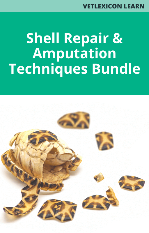 Shell Repair and Amputation Techniques Bundle