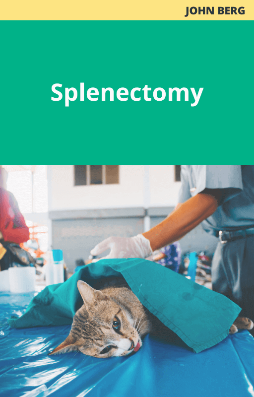 John Berg Splenectomy