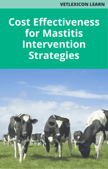 Cost Effectiveness for Mastitis Intervention Strategies Bovine