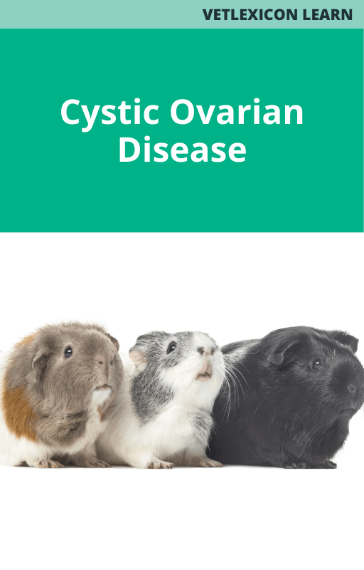 Cystic Ovarian Disease