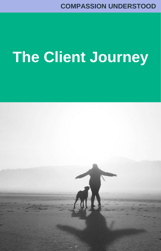 Compassion Understood The Client Journey