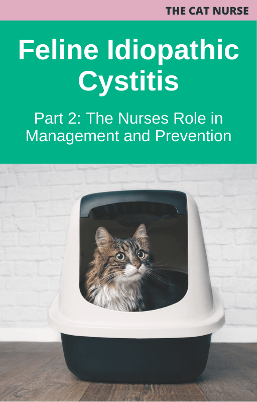 The Cat Nurse Feline Idiopathic Cystitis Part 2 The Nurses Role in Management and Prevention