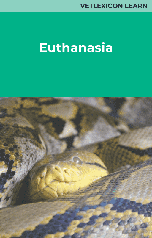Reptile Euthanasia