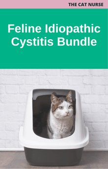 The Cat Nurse Feline Idiopathic Cystitis Bundle
