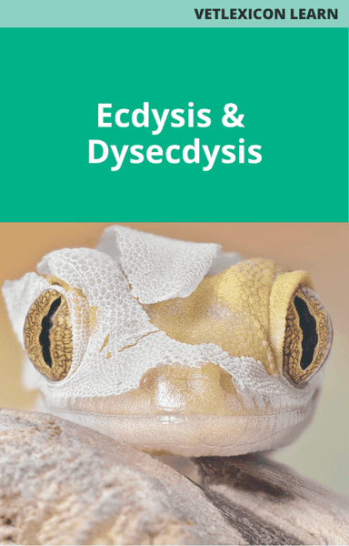 Ecdysis and Dysecdysis