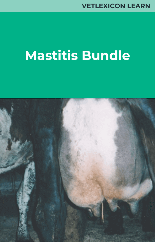 Bovine Mastitis Bundle