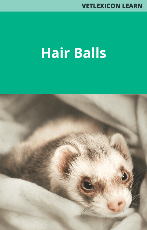 Hair Balls