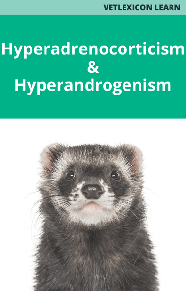 Hyperadrenocorticism/Hyperandrogenism