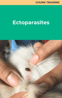 Chunk Training Ectoparasites