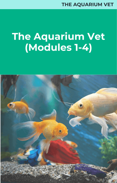 The Aquarium Vet: Modules 1-4 Package