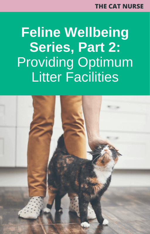 Feline Wellbeing Series, Part 2: Providing Optimum Litter Facilities
