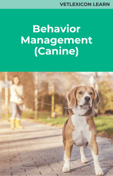 Behavior Management (Canine)