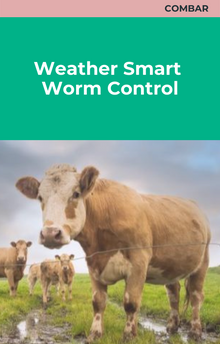 Weather Smart Worm Control