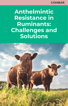 Anthelmintic Resistance in Ruminants: Challenges and Solutions