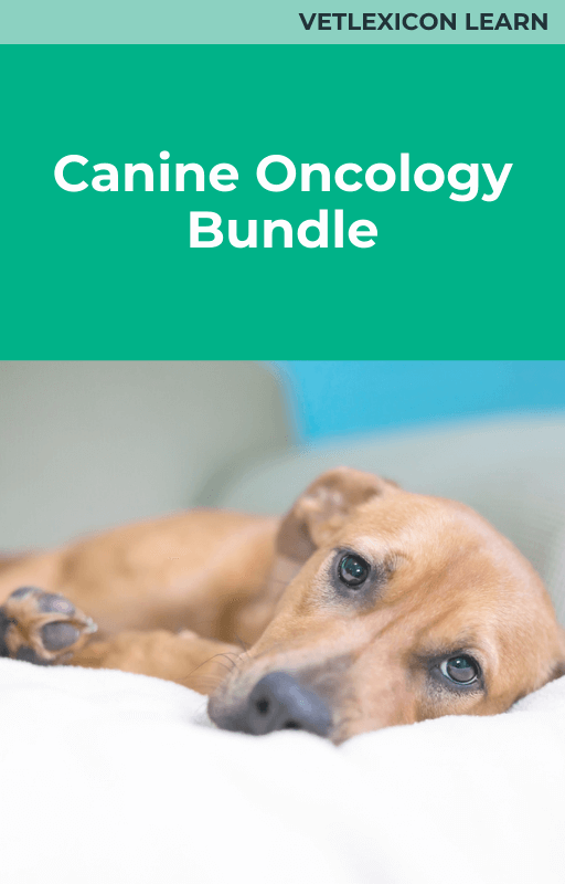 Canine Oncology Bundle