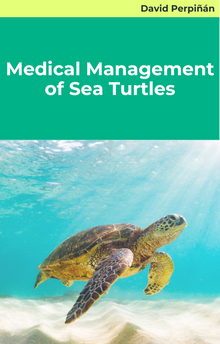 Medical Management of Sea Turtles