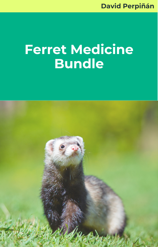 Ferret Medicine Bundle