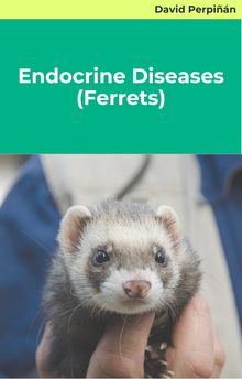 Endocrine Diseases (Ferrets)