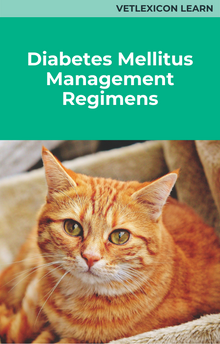 Diabetes Mellitus Management Regimens (Feline)