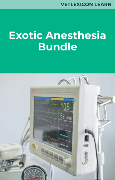 Exotic Anesthesia Bundle