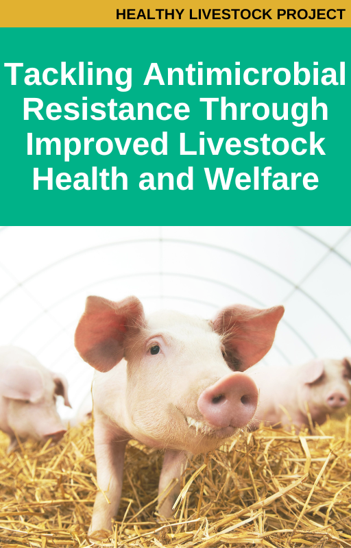 Tackling Antimicrobial Resistance Through Improved Livestock Health and Welfare