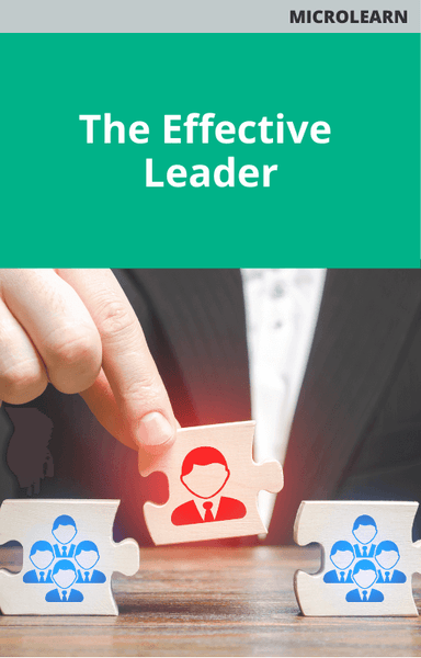 The Effective Leader