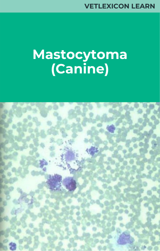 Mastocytoma (Canine)