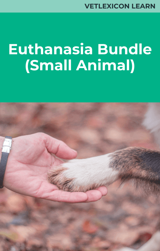 Euthanasia (Small Animal)