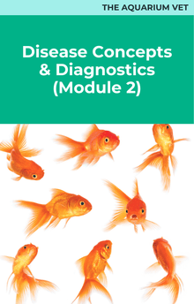 The Aquarium Vet Disease Concepts and Diagnostics (Module 2)