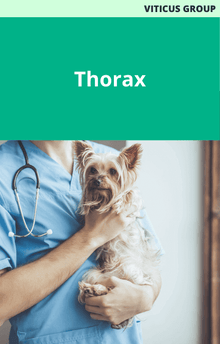 Viticus Group Thorax
