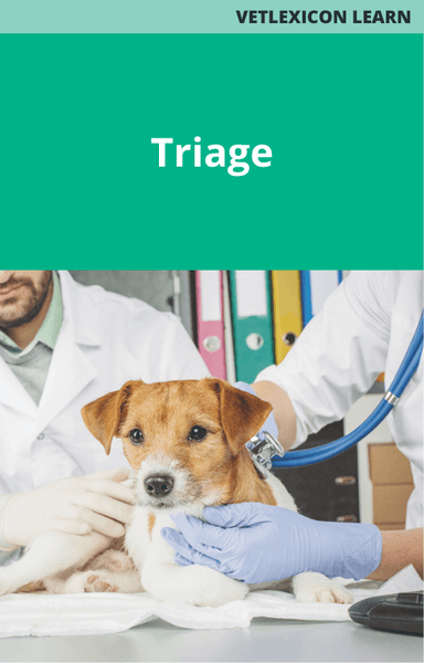 Triage