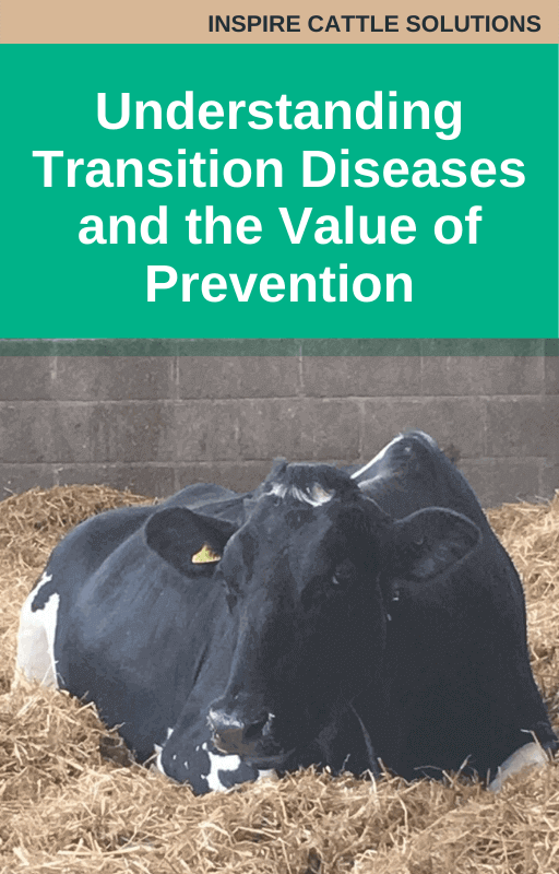 Understanding Transition Diseases and the Value of Prevention