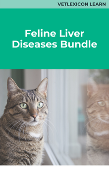Feline Liver Diseases Bundle