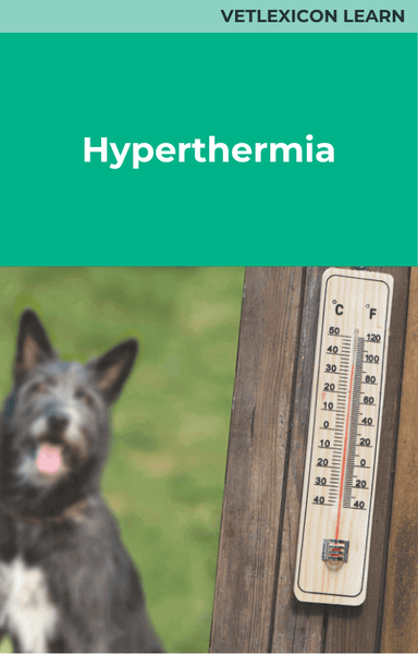 Hyperthermia